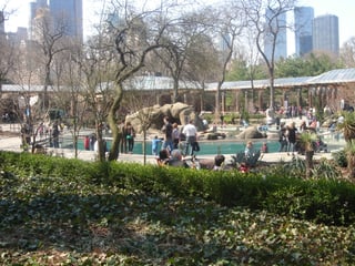 Picture of Central Park Zoo