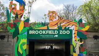 Picture of Brookfield Zoo