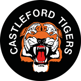 Picture of Castleford Tigers