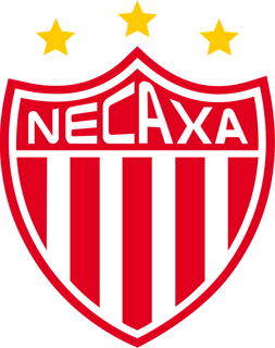 Picture of Club Necaxa