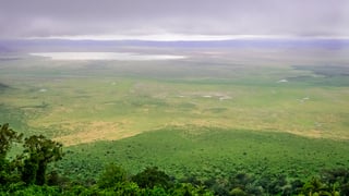 Picture of Ngorongoro Conservation Area