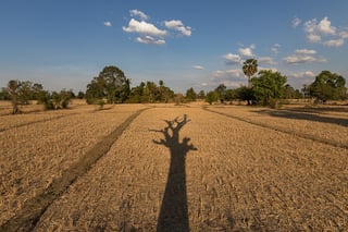 Picture of Dry season