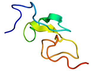 Picture of Epidermal growth factor