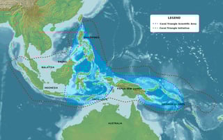 Picture of Coral Triangle