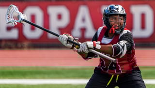 Picture of Lacrosse