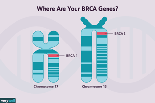 Picture of BRCA2