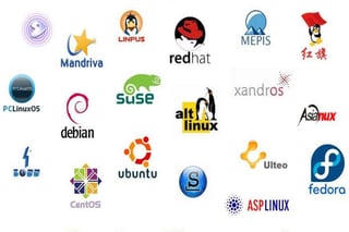 Picture of Linux distribution