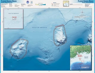 Picture of Flower Garden Banks National Marine Sanctuary