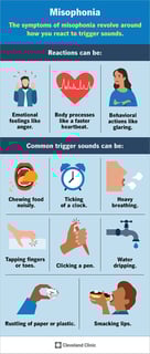 Picture of misophonia