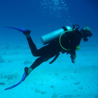 Picture of Scuba diving