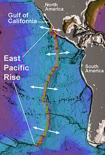 Picture of East Pacific Rise