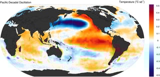 Picture of Pacific decadal oscillation