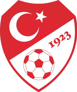 Picture of Turkish Football Federation