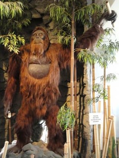 Picture of Gigantopithecus