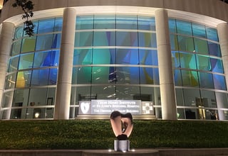 Picture of The Texas Heart Institute