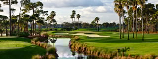 Picture of PGA National Golf Club