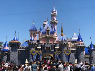Picture of Sleeping Beauty Castle