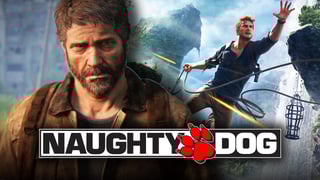 Picture of Naughty Dog
