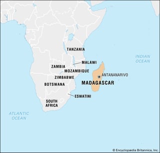 Picture of Madagascar