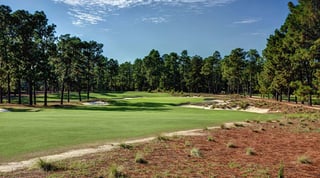Picture of Pinehurst Course No. 2