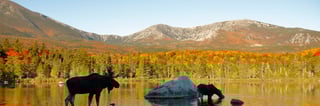 Picture of Baxter State Park