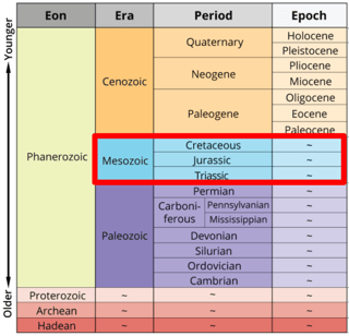 Picture of Mesozoic