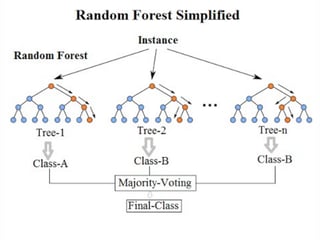 Picture of Random forest