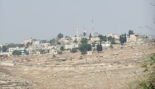 Picture of Nabi Salih