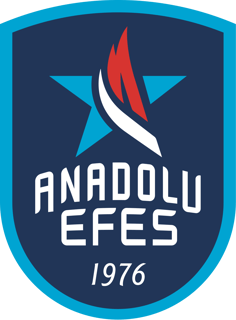 Picture of Anadolu Efes S.K.
