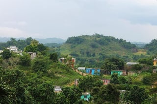 Picture of Nine Mile