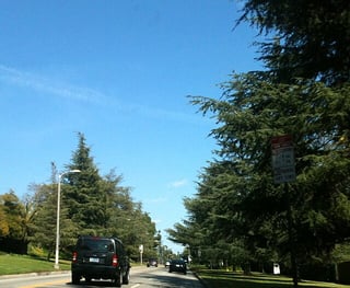Picture of Los Feliz Boulevard