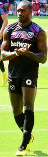 Picture of Michail Antonio