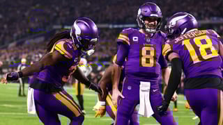 Picture of Minnesota Vikings