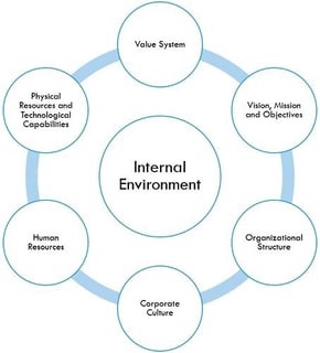 Picture of Internal environment