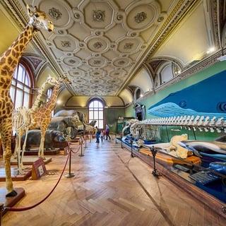 Picture of Museum of Natural History