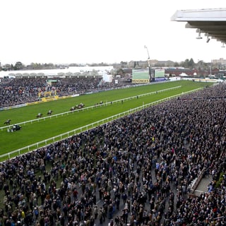 Picture of Cheltenham Festival