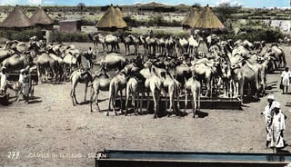 Picture of Al-Ubayyid