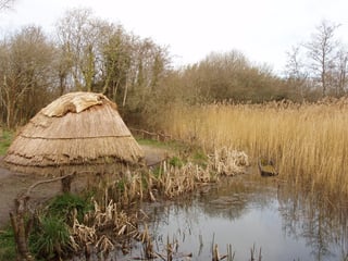 Picture of Mesolithic