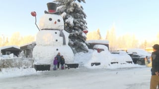 Picture of Snowzilla