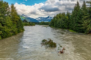 Picture of Mendenhall River