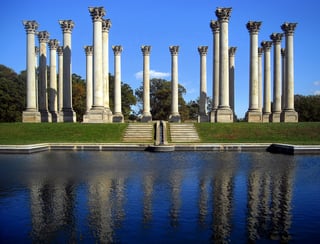 Picture of United States National Arboretum
