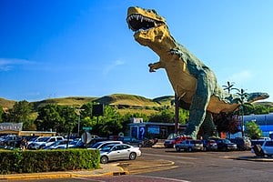 Picture of Roadside attraction