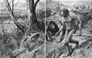 Picture of Nebraska Man