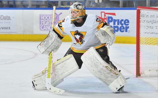 Picture of Dustin Tokarski