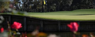 Picture of The Players Championship