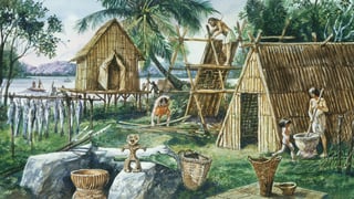 Picture of Neolithic