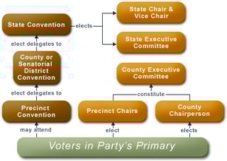 Picture of Political party