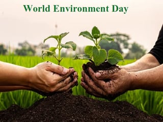 Picture of World Environment Day
