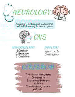 Picture of Neurology