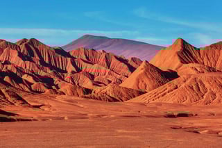 Picture of Puna de Atacama